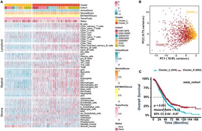 Machine learning-based integration develops an immune-related risk model for predicting prognosis of high-grade serous ovarian cancer and providing therapeutic strategies